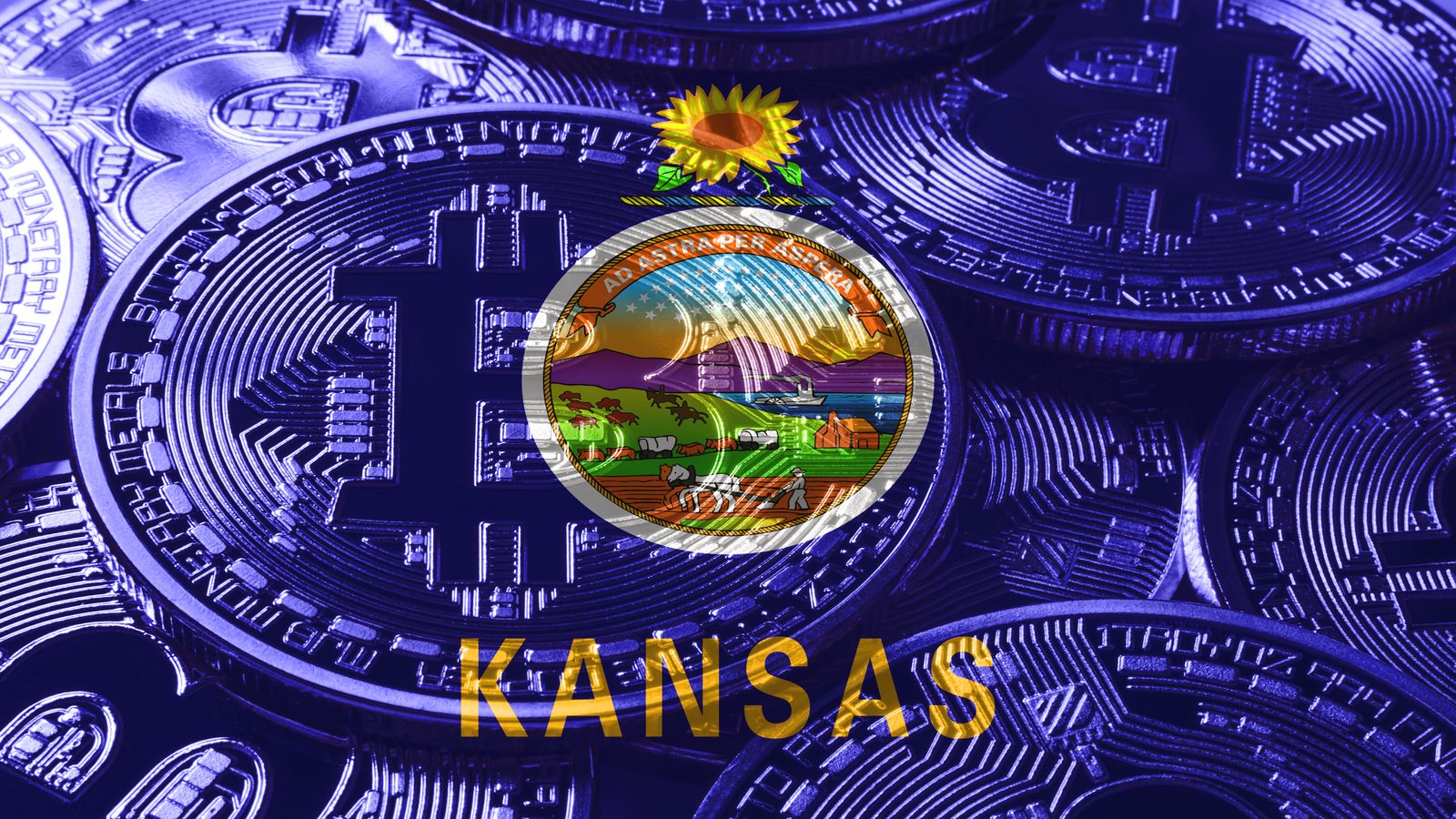 A world map with highlighted developing nations that share economic characteristics similar to El Salvador, illustrating the breadth of countries observing the Bitcoin legal tender experiment